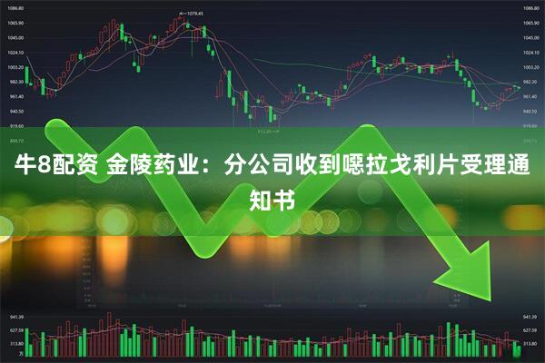 牛8配资 金陵药业：分公司收到噁拉戈利片受理通知书