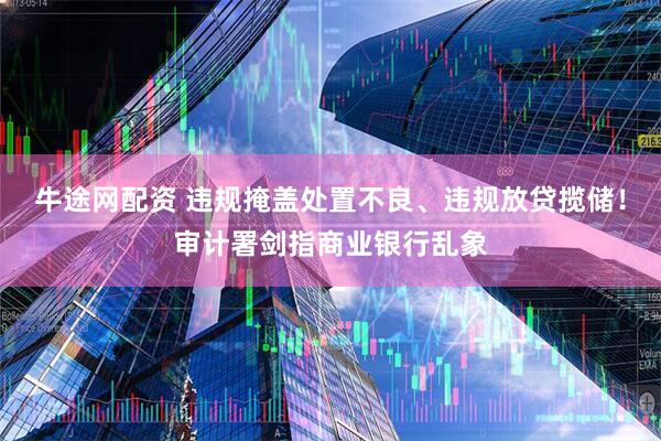 牛途网配资 违规掩盖处置不良、违规放贷揽储！审计署剑指商业银行乱象