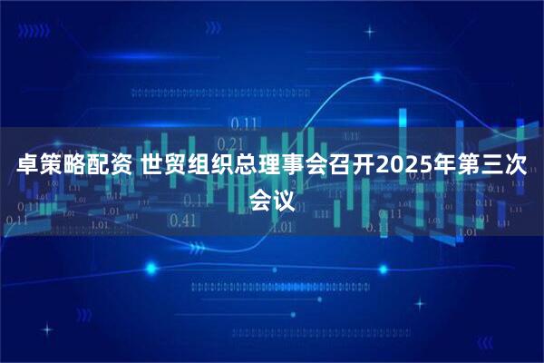 卓策略配资 世贸组织总理事会召开2025年第三次会议