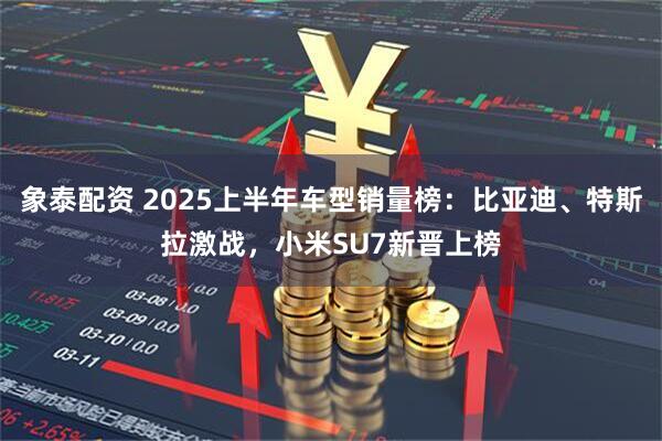 象泰配资 2025上半年车型销量榜：比亚迪、特斯拉激战，小米SU7新晋上榜